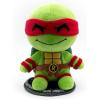 Raphael